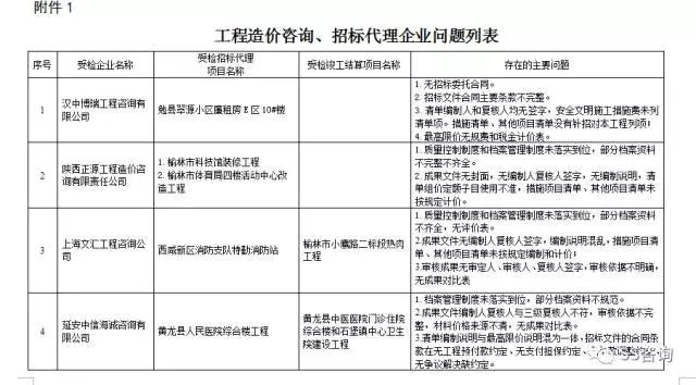 工程造價(jià)咨詢、招標(biāo)代理企業(yè)問(wèn)題列表