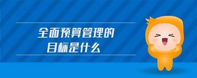 全面預算管理的目的是什么？